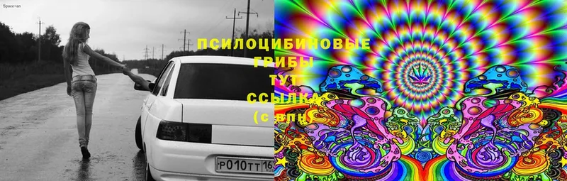 Псилоцибиновые грибы Psilocybe  ОМГ ОМГ сайт  сайты даркнета какой сайт  Липки 